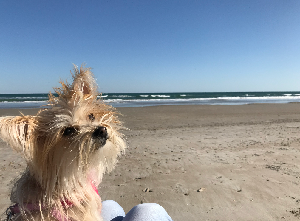 screenshot 2025 10 22 at 1.26.32 am.webp